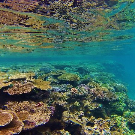 Mai Dive' Astrolabe Reef Resort Naqara Екстериор снимка
