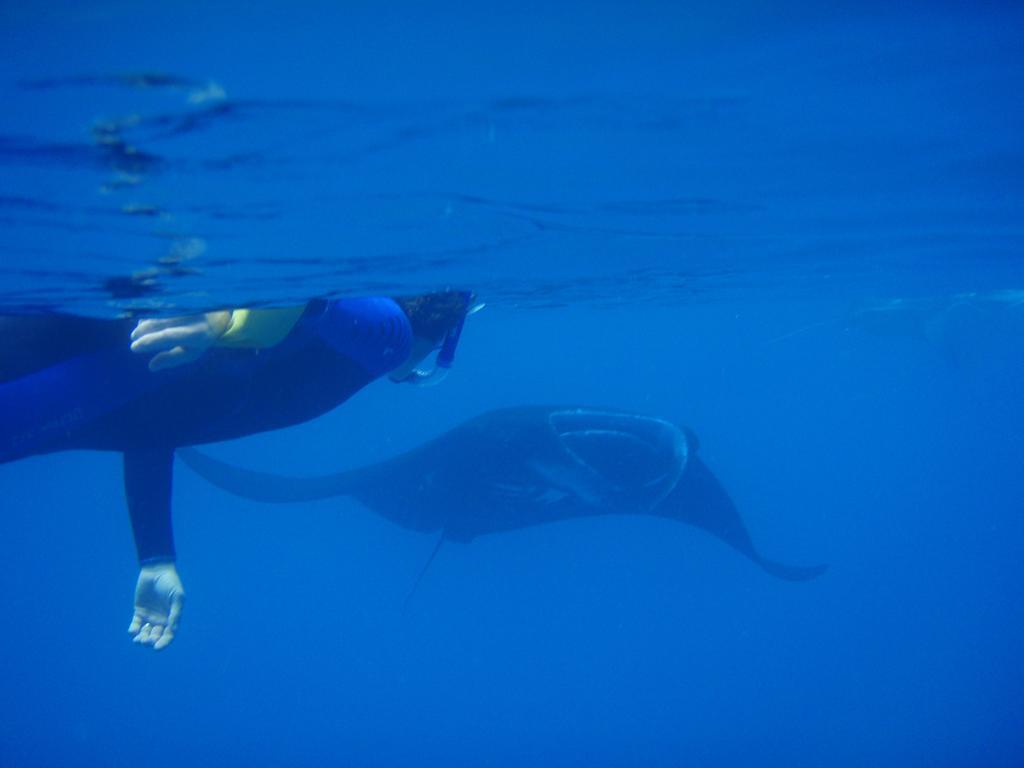 Mai Dive' Astrolabe Reef Resort Naqara Екстериор снимка