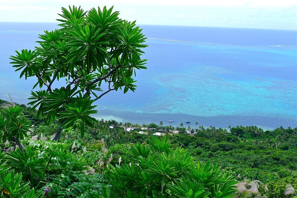 Mai Dive' Astrolabe Reef Resort Naqara Стая снимка