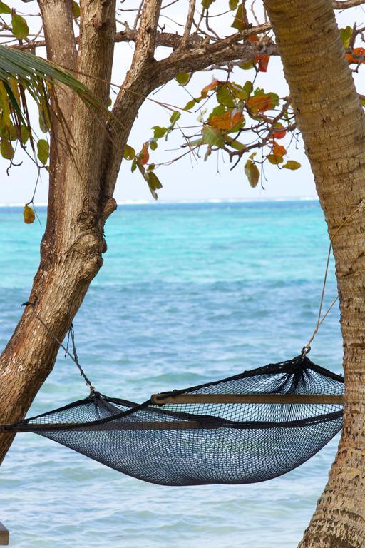 Mai Dive' Astrolabe Reef Resort Naqara Стая снимка