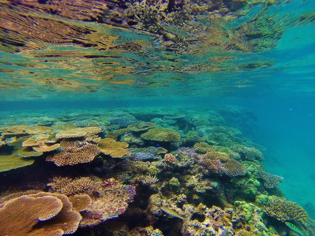 Mai Dive' Astrolabe Reef Resort Naqara Екстериор снимка