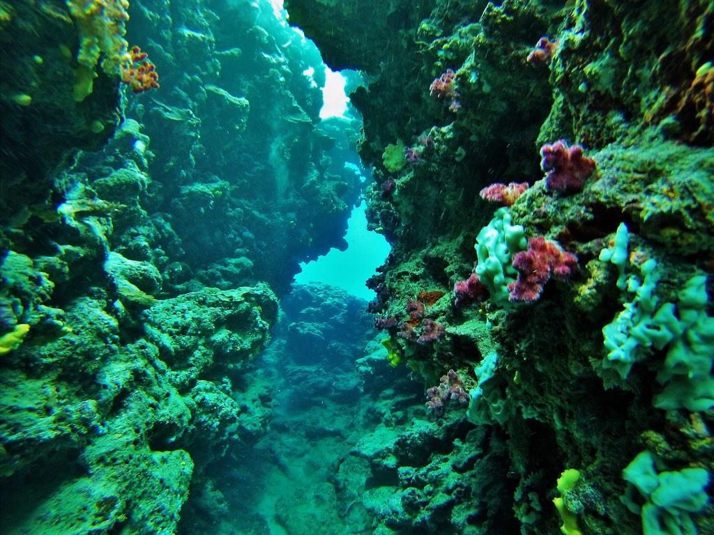 Mai Dive' Astrolabe Reef Resort Naqara Екстериор снимка