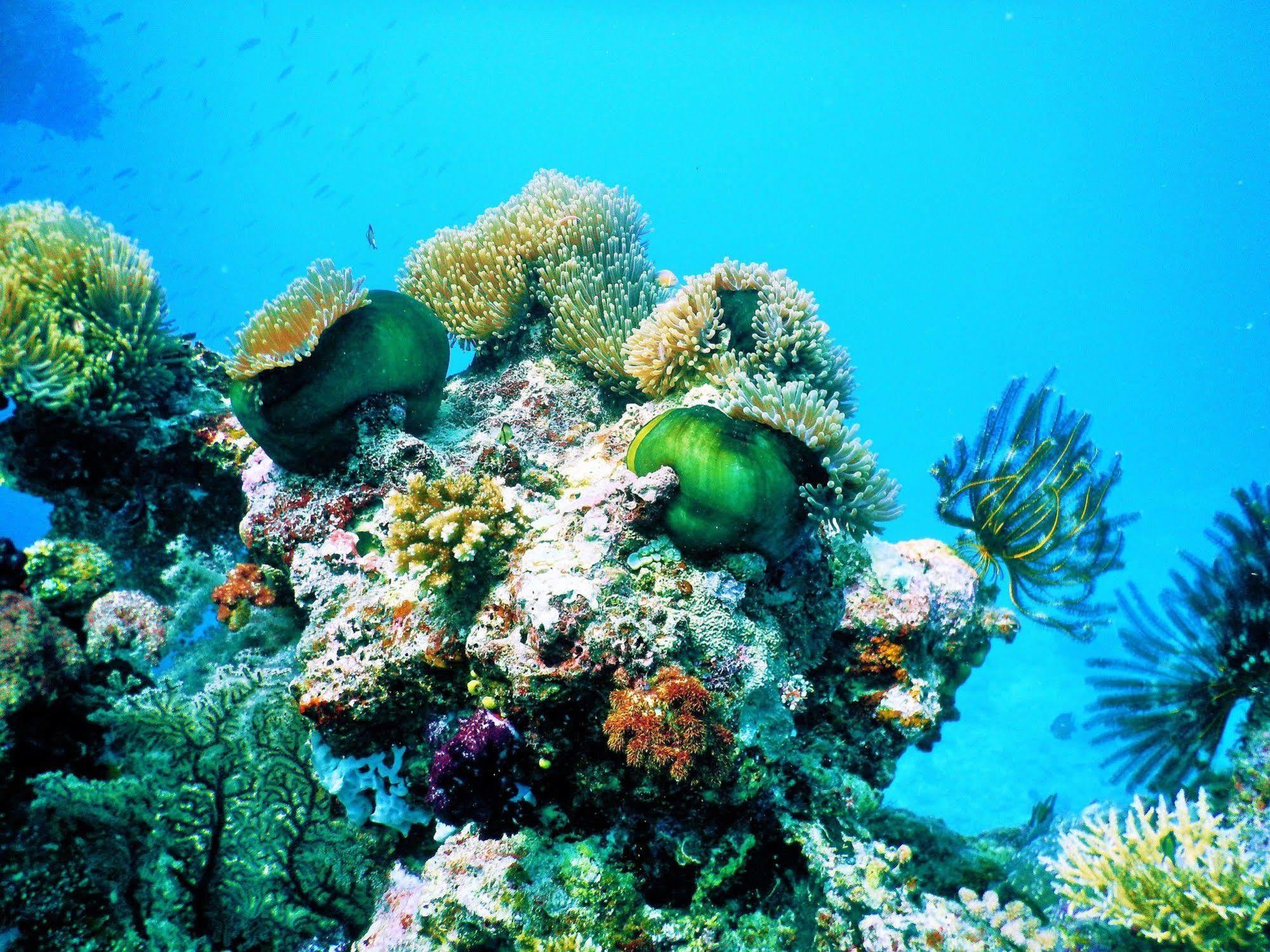Mai Dive' Astrolabe Reef Resort Naqara Екстериор снимка
